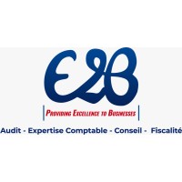 E2B Consulting logo, E2B Consulting contact details