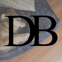 Dominic Brice Skinner Interior Design logo, Dominic Brice Skinner Interior Design contact details