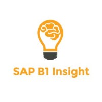 SAP B1 Insight logo, SAP B1 Insight contact details