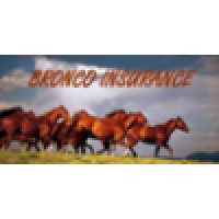 Bronco Insurance logo, Bronco Insurance contact details