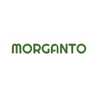 Morganto Private Limited logo, Morganto Private Limited contact details