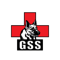 GSS-Training Solutions and Consulting logo, GSS-Training Solutions and Consulting contact details