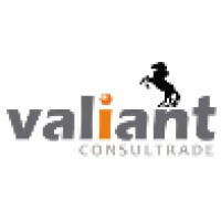 Valiant Consultrade Private Limited logo, Valiant Consultrade Private Limited contact details