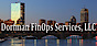 Dorfman FinOp Services logo, Dorfman FinOp Services contact details