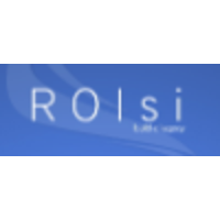 ROI Strategies International logo, ROI Strategies International contact details