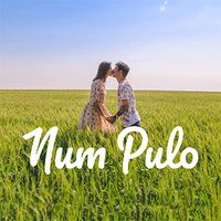 Num Pulo logo, Num Pulo contact details