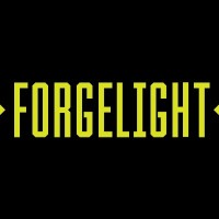 ForgeLight, LLC logo, ForgeLight, LLC contact details