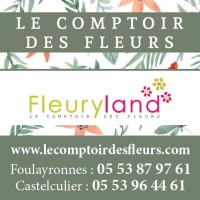 Le Comptoir des Fleurs - Fleuryland logo, Le Comptoir des Fleurs - Fleuryland contact details