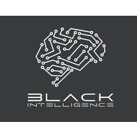 Black Intelligence logo, Black Intelligence contact details