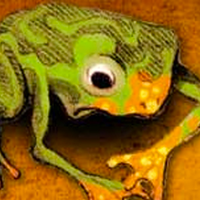 ORANGE FROG | Happiness Advantage at Work logo, ORANGE FROG | Happiness Advantage at Work contact details