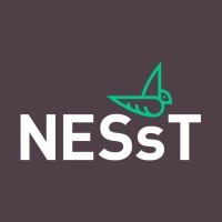 NESsT logo, NESsT contact details