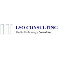 LSO CONSULTING logo, LSO CONSULTING contact details