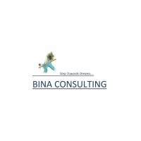 BINA CONSULTING logo, BINA CONSULTING contact details