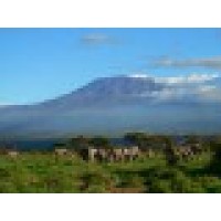 Kilimanjaro Tanzanite Safaris Ltd logo, Kilimanjaro Tanzanite Safaris Ltd contact details