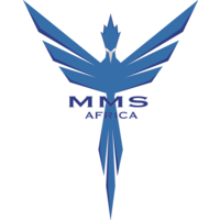 MMS AFRICA logo, MMS AFRICA contact details