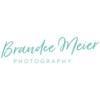 Brandee Meier Photography logo, Brandee Meier Photography contact details