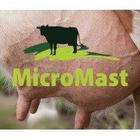 MicroMast logo, MicroMast contact details