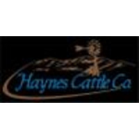 Haynes Cattle Company logo, Haynes Cattle Company contact details