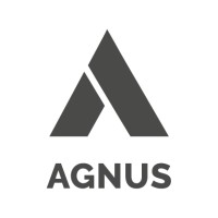 Agnus Consultoria e Projetos logo, Agnus Consultoria e Projetos contact details