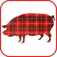 Plaid Pig Public Relations logo, Plaid Pig Public Relations contact details