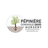 Dominique Savio Nursery logo, Dominique Savio Nursery contact details