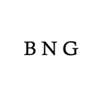 BNG Invest As logo, BNG Invest As contact details