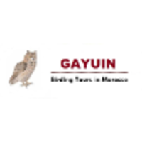 Gayuin Birding Tours logo, Gayuin Birding Tours contact details