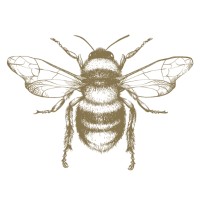 Beehive Marketing logo, Beehive Marketing contact details