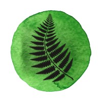 Foxglove and Fern Consulting logo, Foxglove and Fern Consulting contact details