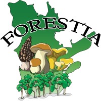 Forestia Inc logo, Forestia Inc contact details