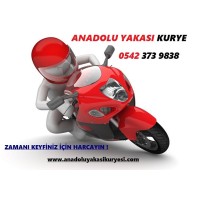 Anadolu Yakası Kurye logo, Anadolu Yakası Kurye contact details