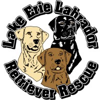 LAKE ERIE LABRADOR RETRIEVER RESCUE, INC. logo, LAKE ERIE LABRADOR RETRIEVER RESCUE, INC. contact details