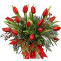 Canton Florist logo, Canton Florist contact details