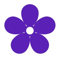 Violet North Inc. logo, Violet North Inc. contact details