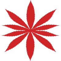 MavenKind Cannabis logo, MavenKind Cannabis contact details