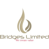 Bridges Limited logo, Bridges Limited contact details