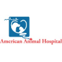 American Animal Hospital logo, American Animal Hospital contact details