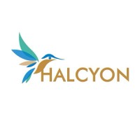 Halcyon Support logo, Halcyon Support contact details