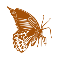 Monarch Inspections LLC logo, Monarch Inspections LLC contact details