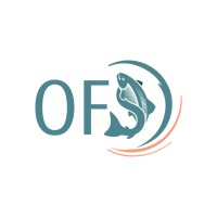 OFS Norge AS logo, OFS Norge AS contact details