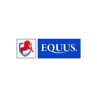 Equus Enterprises LLP logo, Equus Enterprises LLP contact details