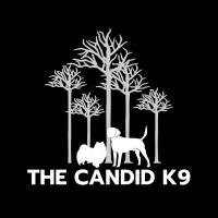 The Candid K9 logo, The Candid K9 contact details