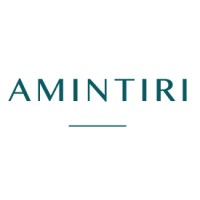 Amintiri logo, Amintiri contact details