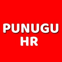 Punugu HR Consultancy logo, Punugu HR Consultancy contact details