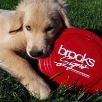 Brooks Signs logo, Brooks Signs contact details