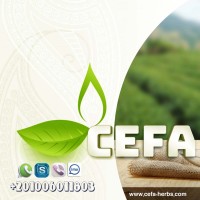 CEFA HERBS logo, CEFA HERBS contact details