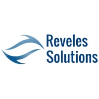 Reveles Solutions, LLC logo, Reveles Solutions, LLC contact details