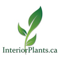 InteriorPlants.ca logo, InteriorPlants.ca contact details