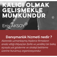 Enis Aksoy Consultancy @eaksoyconsult logo, Enis Aksoy Consultancy @eaksoyconsult contact details