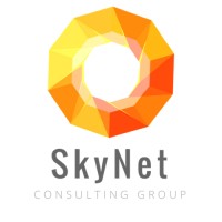 SkyNet Consulting Group logo, SkyNet Consulting Group contact details